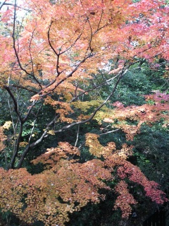 2010.11.30